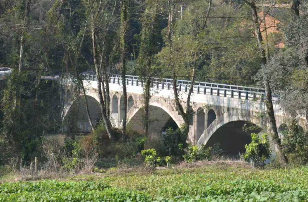 文艺下乡|散文：三河洲上山河美