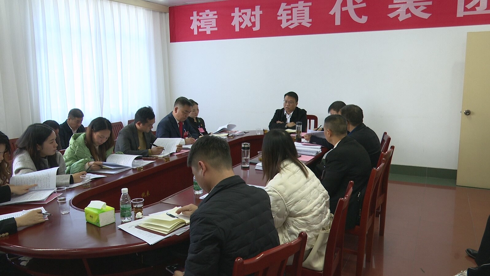 【聚焦两会】人大代表分组审议报告：宾心华参加樟树镇代表团审议