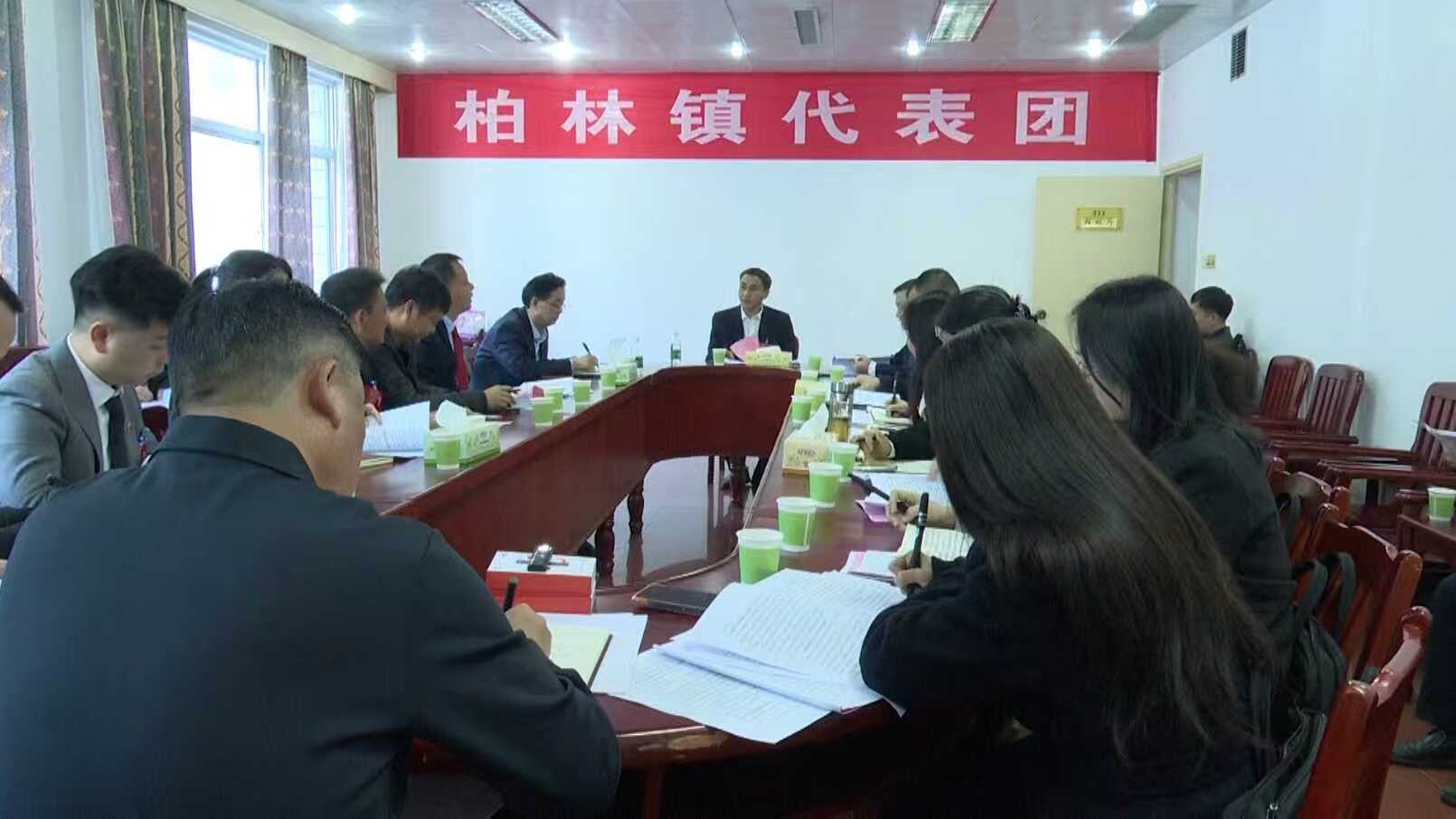 【聚焦两会】人大代表分组审议报告：陈国斌参加柏林镇代表团审议