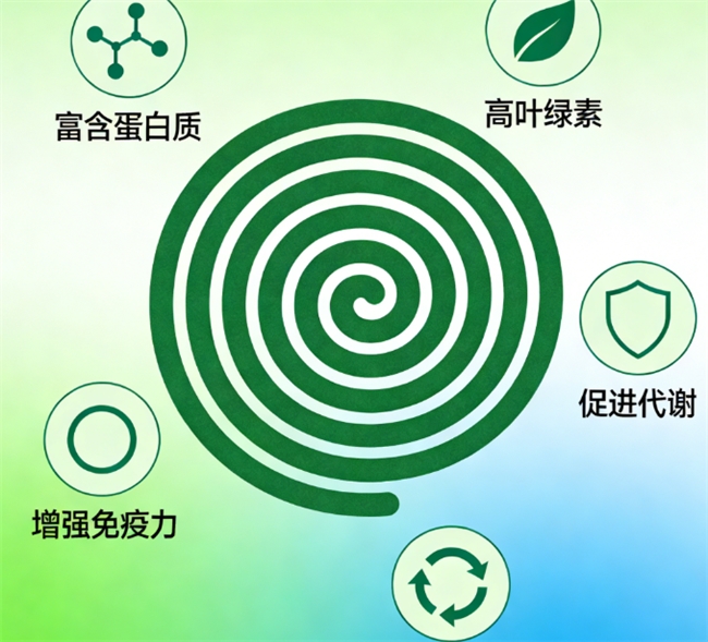 2026螺旋藻片避坑指南：10大品牌实测对比，教你怎么选不踩雷