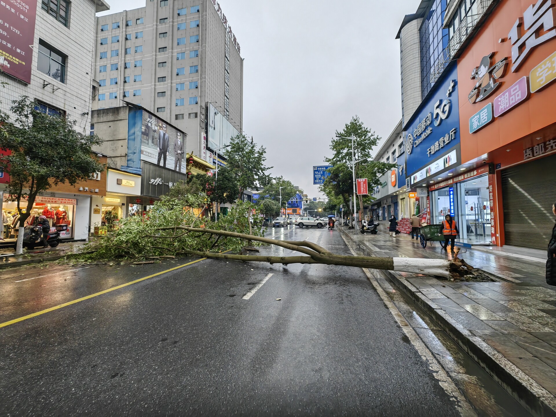 应对低温雨雪冰冻天气|永兴:大树倒塌阻交通 干群合力速清通
