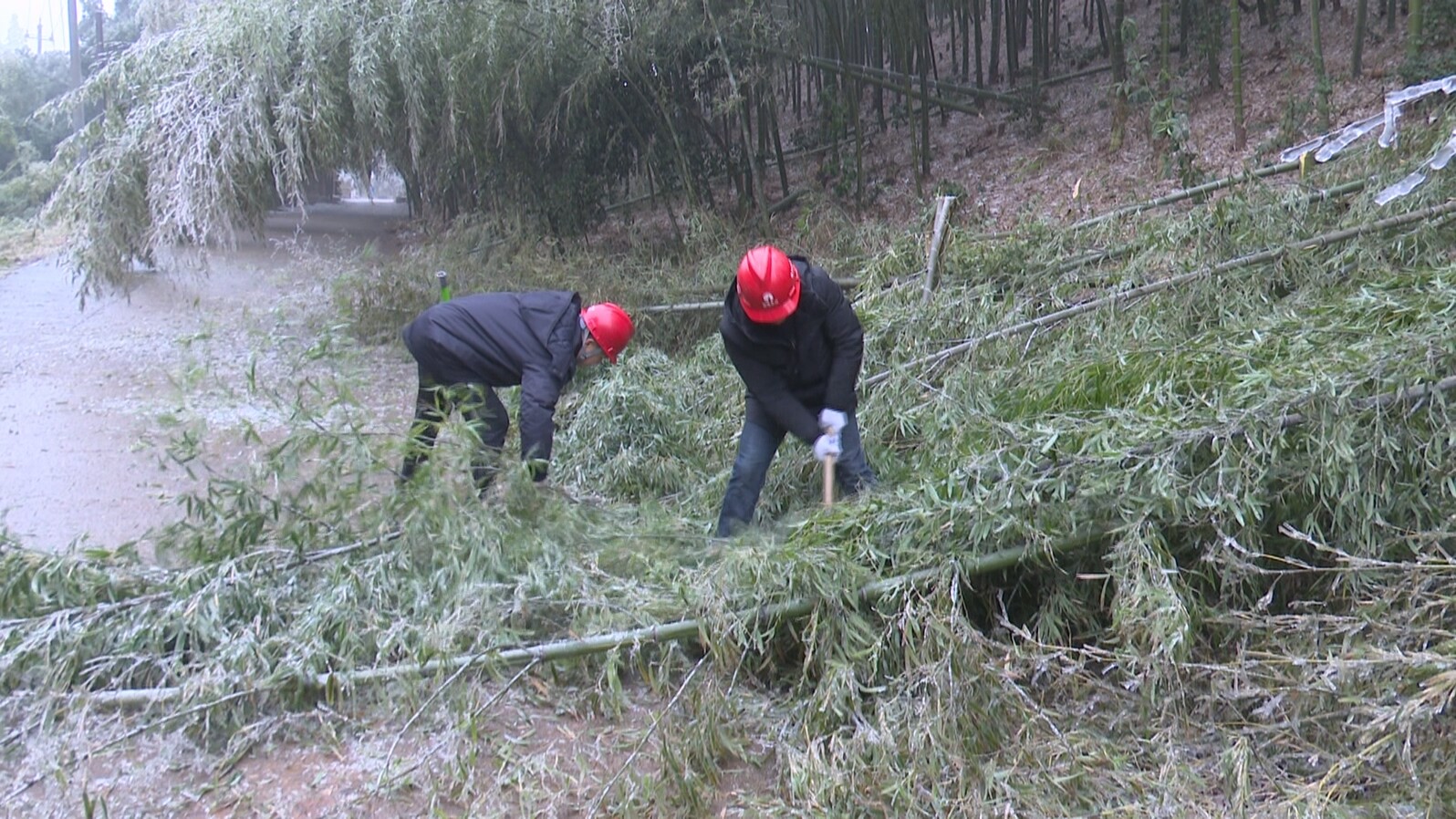 应对低温冰冻雨雪天气|郴电国际永兴分公司:破冰前行 守护群众用电
