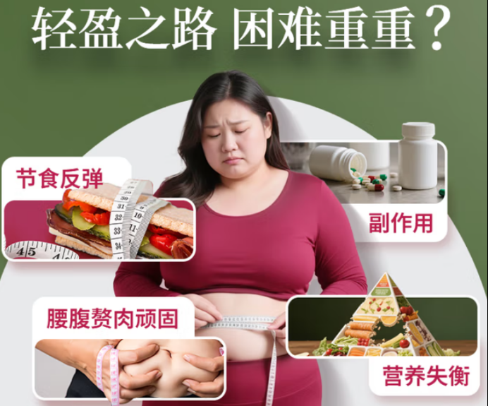 哪款代餐减肥效果好？2026年热门减脂代餐深度解析，告别饿瘦不反弹