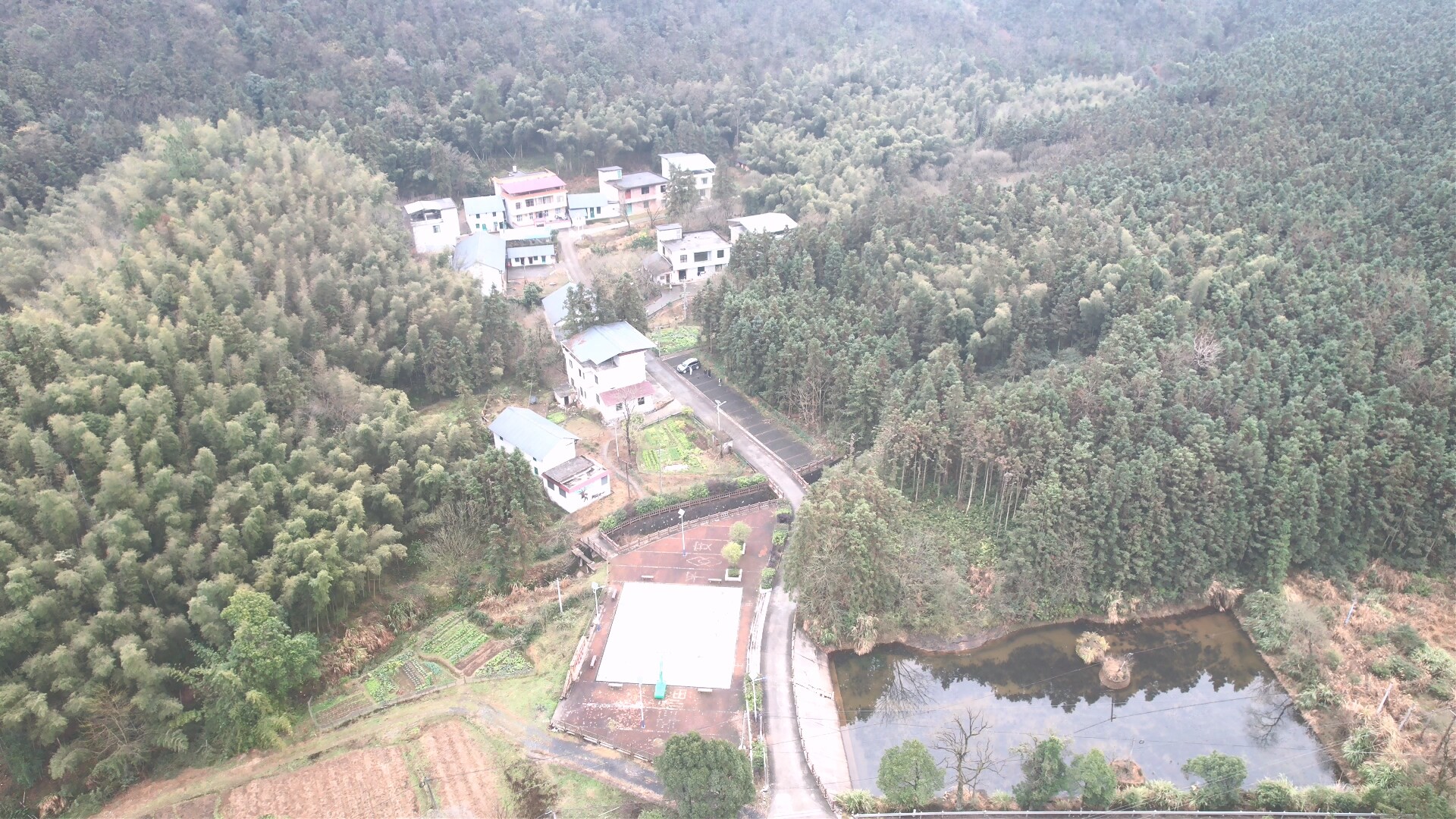 新春走基层·我们的美丽乡村|永兴县鲤鱼塘镇矮塘村：产业飘香家园美 宜居宜业幸福长