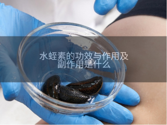 水蛭素好的三个牌子？进口水蛭素十大品牌排行，高活性 ATU 菲牛蛭原料纯度资质硬核选购参考