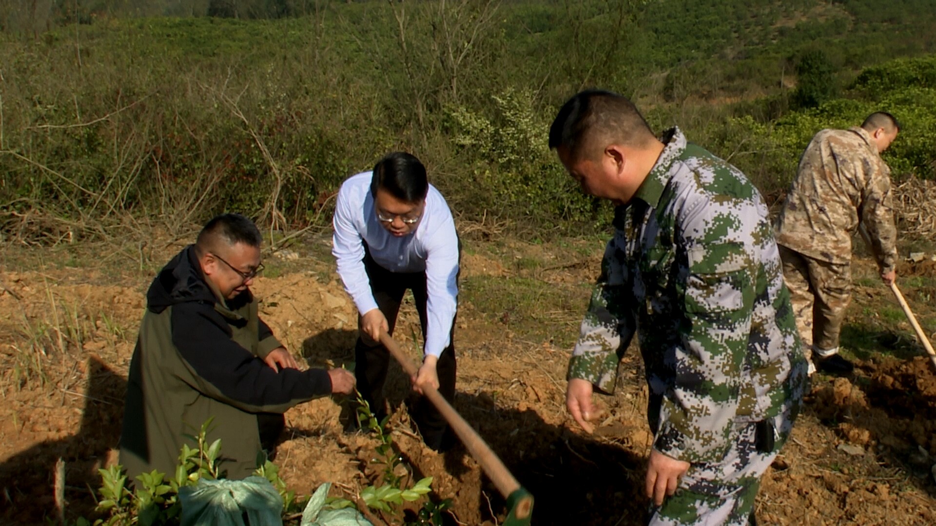 三月春光好 植绿正当时：县领导参加义务植树活动