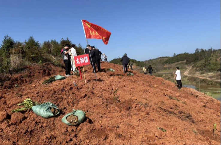 永兴县太和镇：开展春季义务植树活动