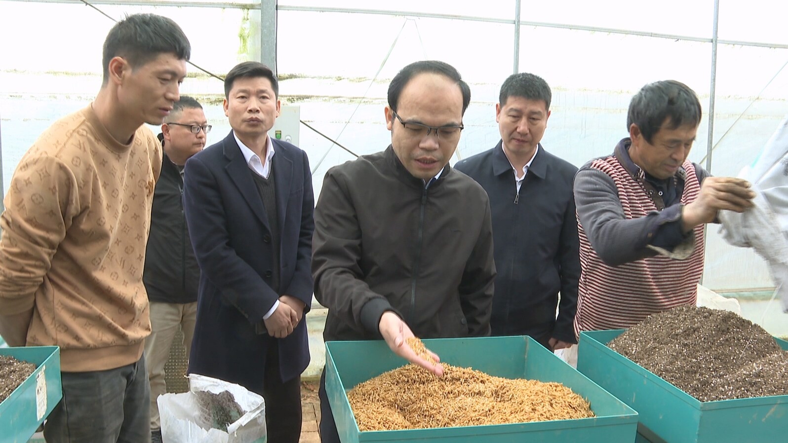 王武文调研森林防火、春耕生产及校园食品安全工作