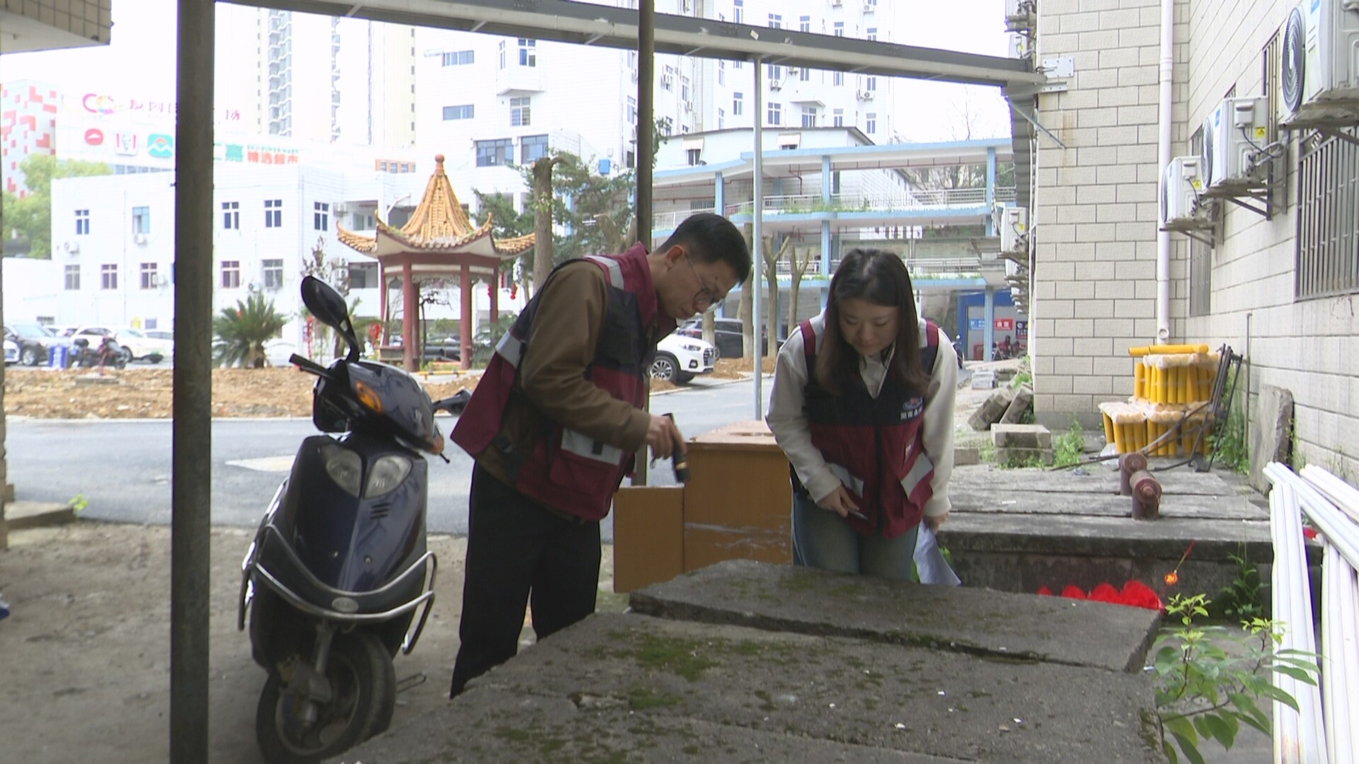 开局八好 乘势而上|永兴县疾控中心开展媒介伊蚊防控 筑牢公共卫生安全防线