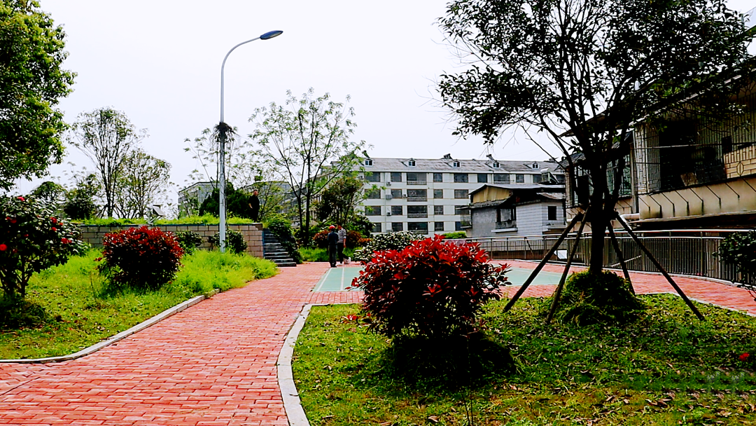 开局八好 乘势而上|老旧小区改造：民生工程“改”出幸福生活