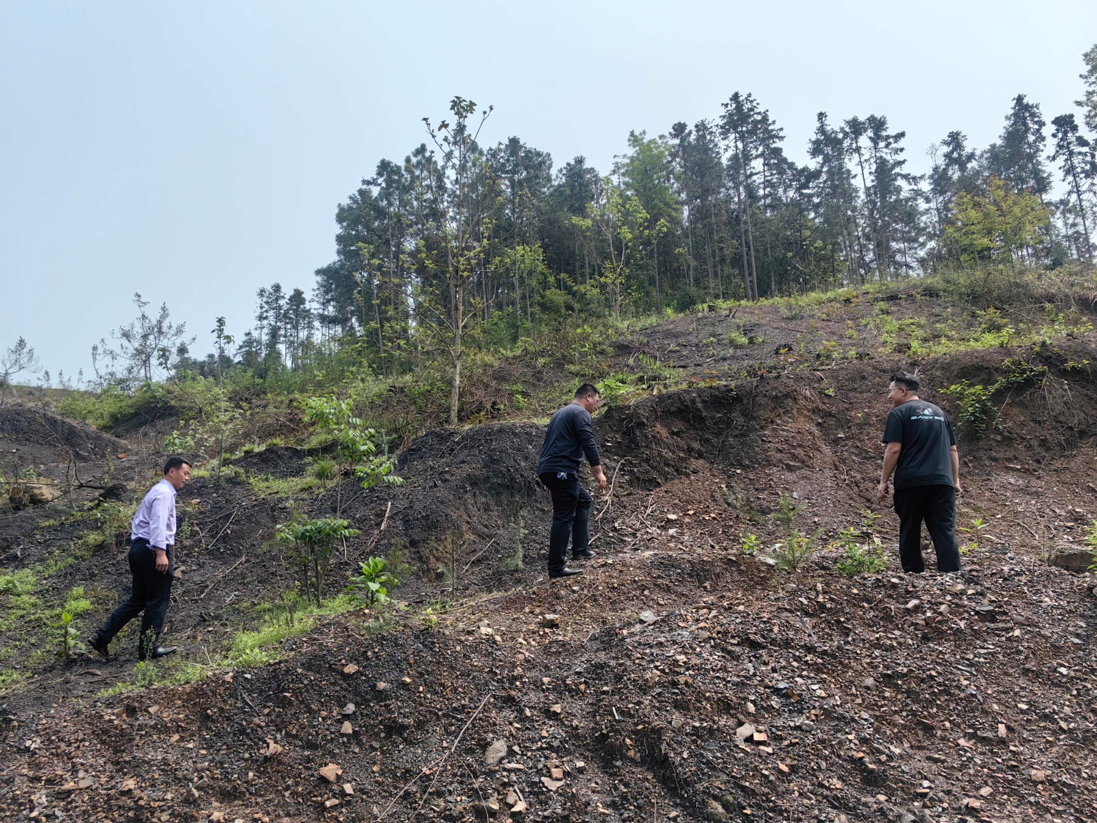永兴检察院：补植复绿“回头看” 生态修复见成效