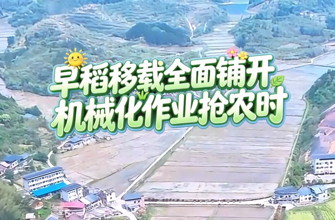 三农丨郴州永兴：早稻移栽全面铺开 机械化作业抢农时