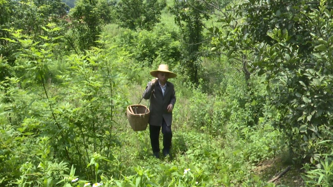 护一方生灵 泽万物共荣（四）永兴县黄泥镇：一位乡村医生的“双重心愿”