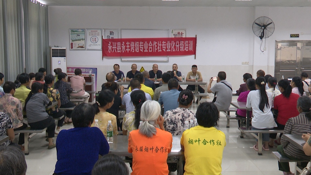永兴县：开展烤烟专业化分级专项培训，推动烟叶生产提质增效