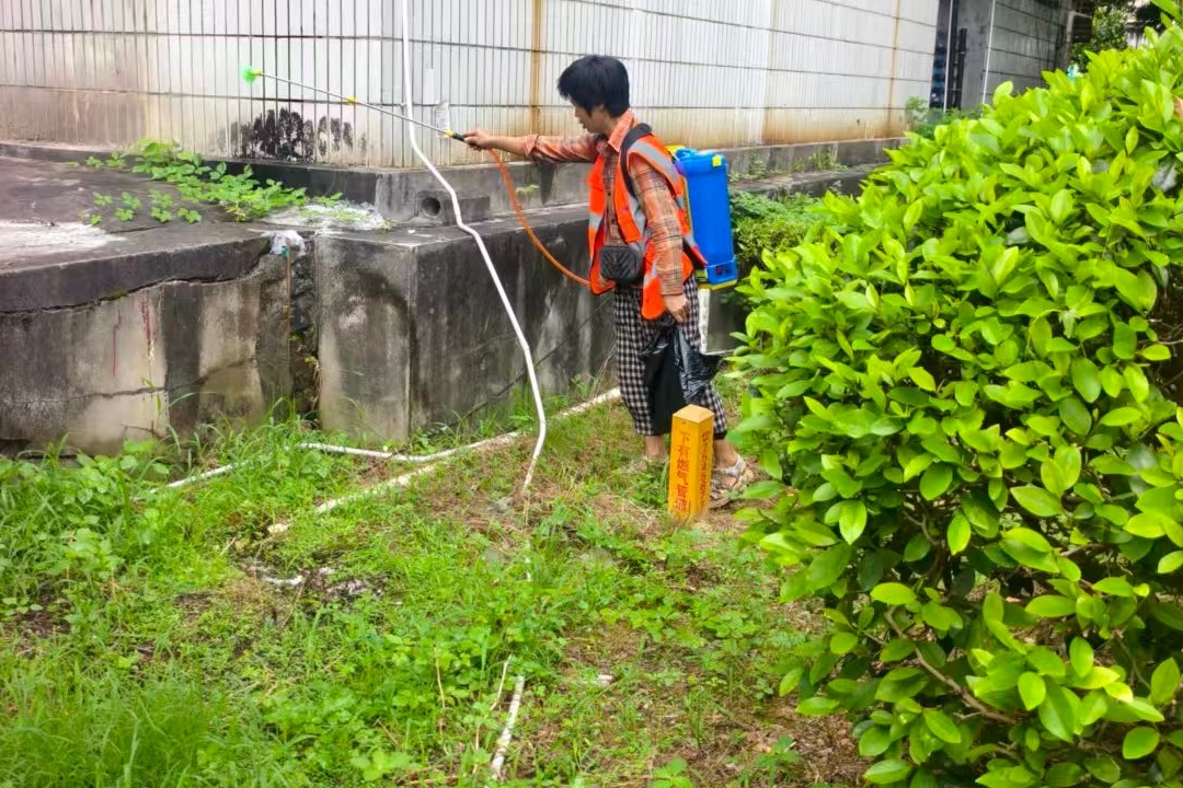 永兴县机关事务服务中心：开展病媒生物消杀 守护办公环境健康
