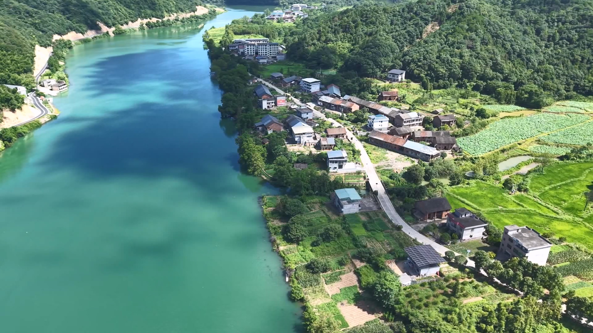 砥砺奋进这五年 奋力谱写中国式现代化永兴新篇章|生态打底产业兴 文化铸魂乡村美
