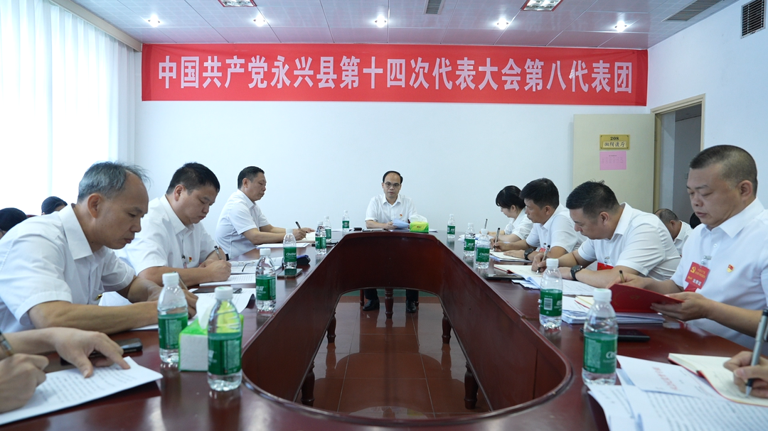 聚焦党代会|王武文参加第八代表团讨论