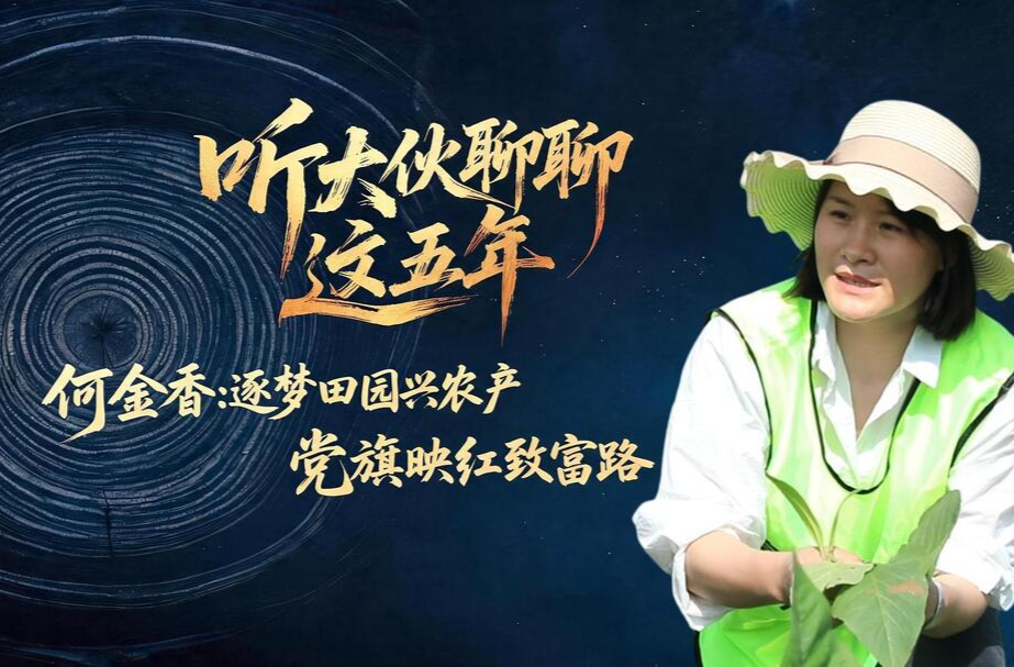 百姓故事丨何金香：逐梦田园兴农产 党旗映红致富路