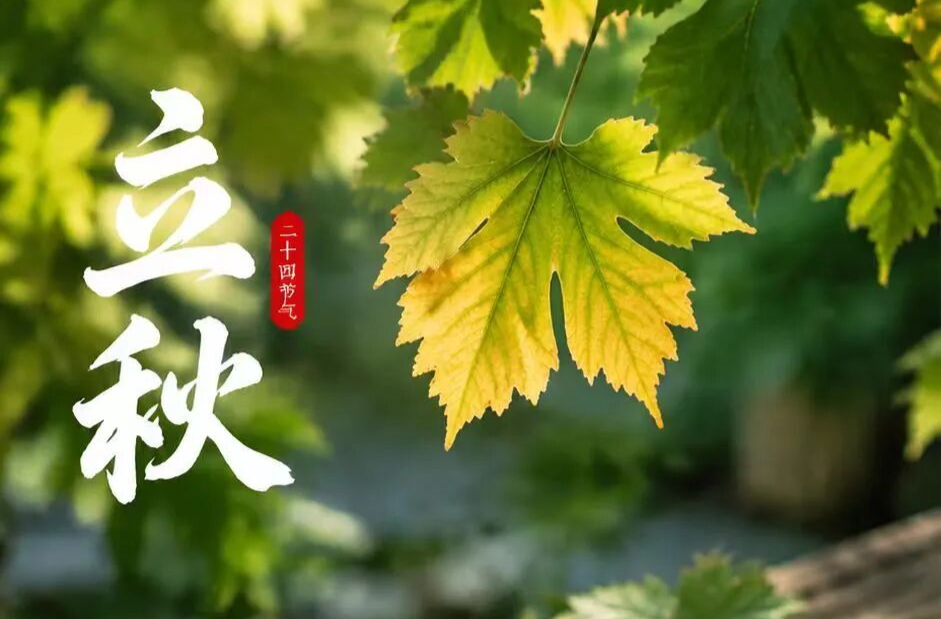 今日立秋