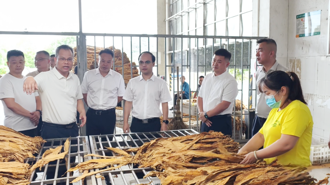 开局八好 乘势而上|扎实抓好烟叶生产收购各项工作 圆满完成烟叶生产收购目标任务