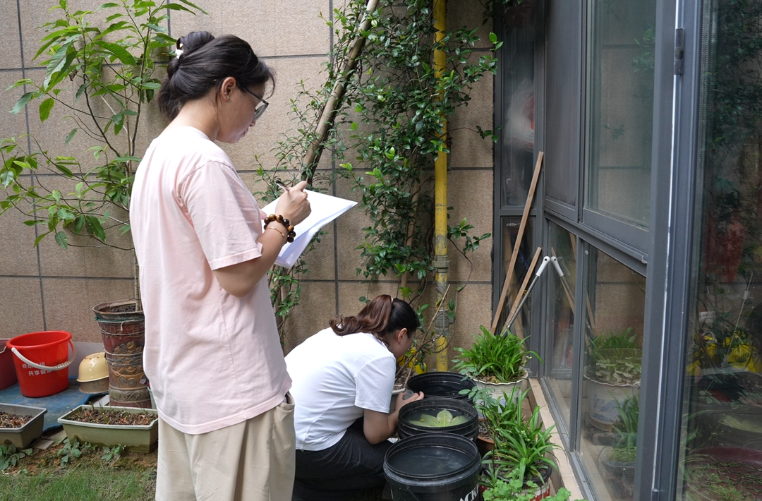 全民守护安全行动|永兴：常态化开展蚊媒密度监测 守护居民安康