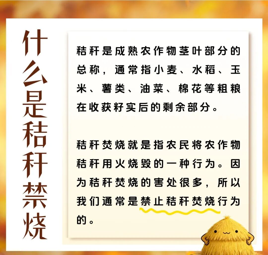秸秆：别烧我！我还能利用！——秸秆禁烧科普宣传