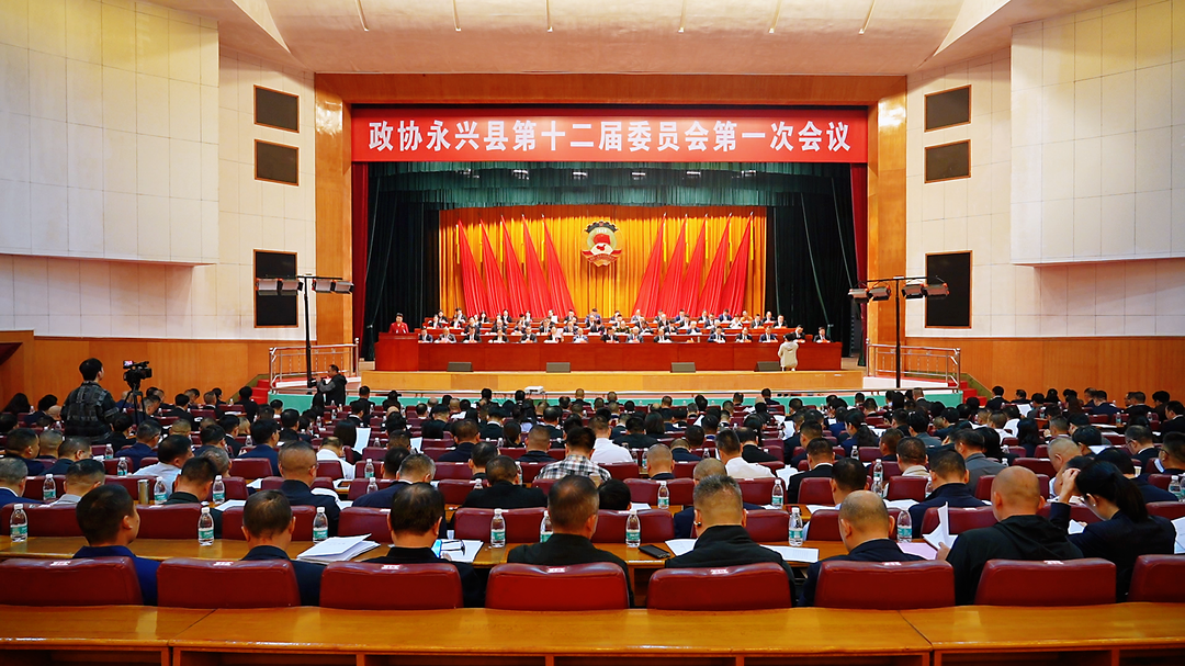 县政协十二届一次会议：宾心华、王武文现场批示委员大会发言