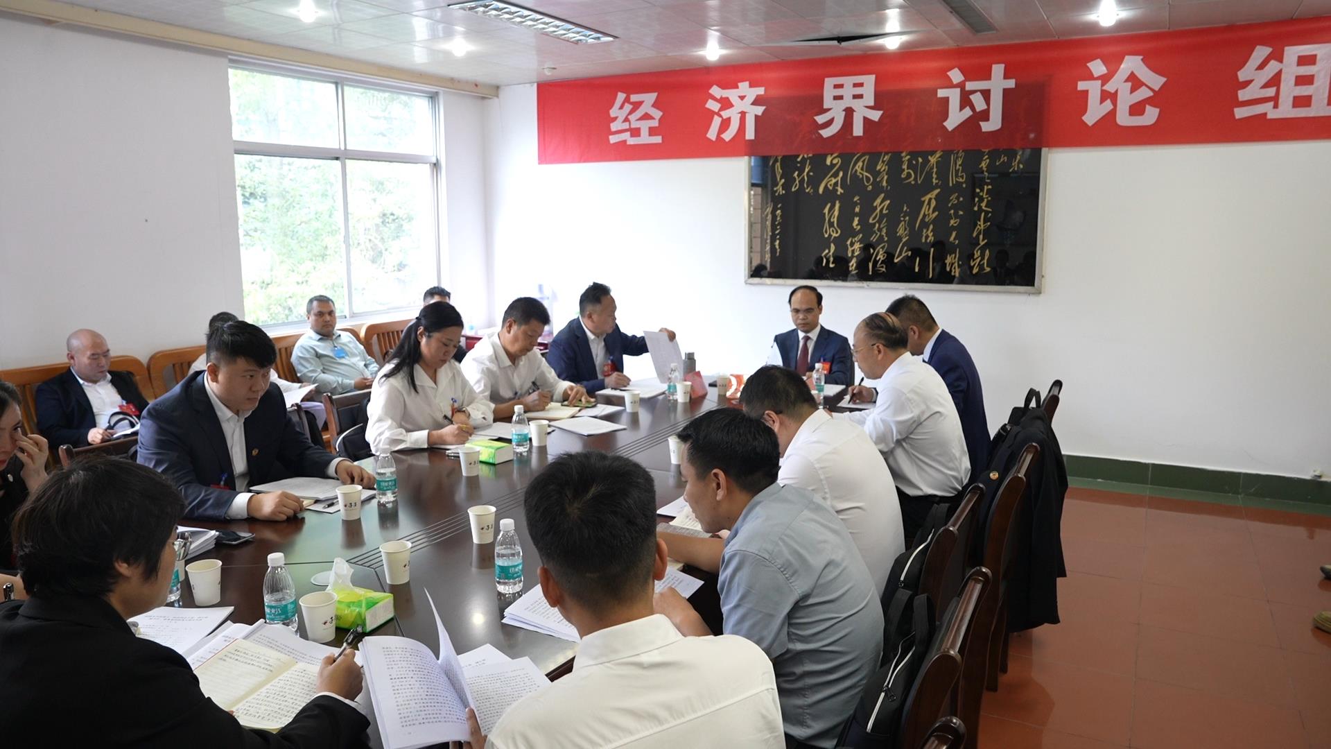 王武文参加经济界分组讨论
