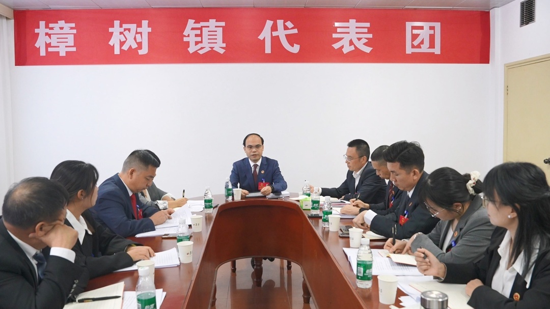 王武文参加樟树镇代表团审议