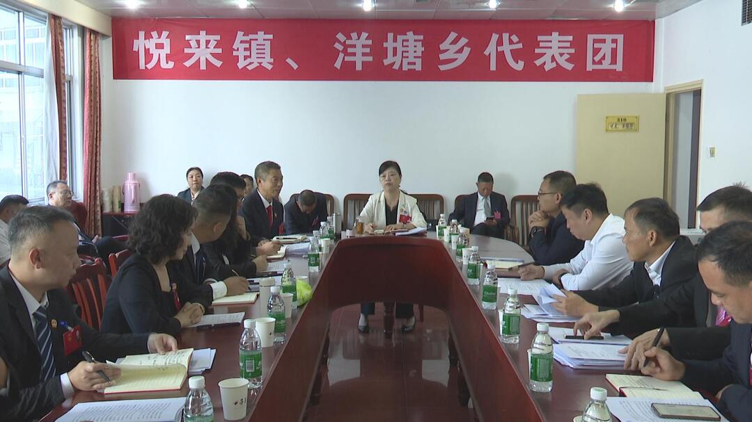 聚焦两会|各代表团审议县人大和“两院”工作报告