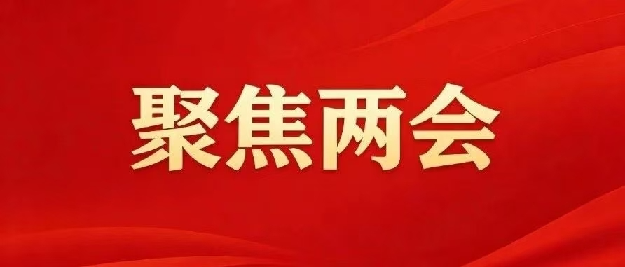 永兴县第十九届人民代表大会第一次会议选举结果
