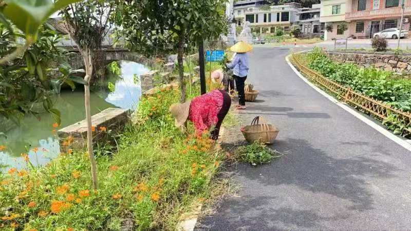 永兴县高亭司镇：党群齐心共创宜居乡村旅游环境