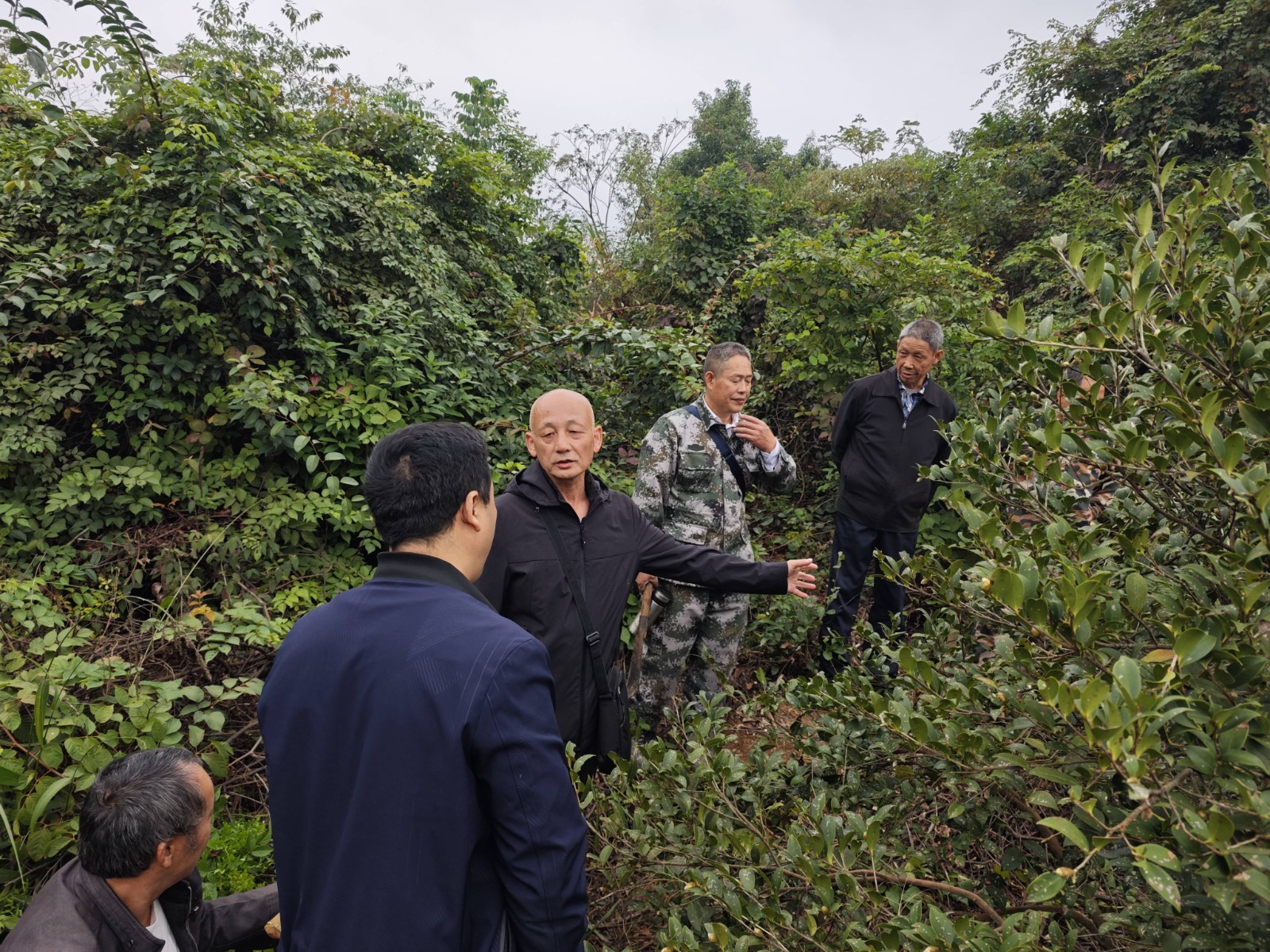 永兴县自然资源局：积极化解群众权属纠纷，把“窝心难事”办成“暖心实事”