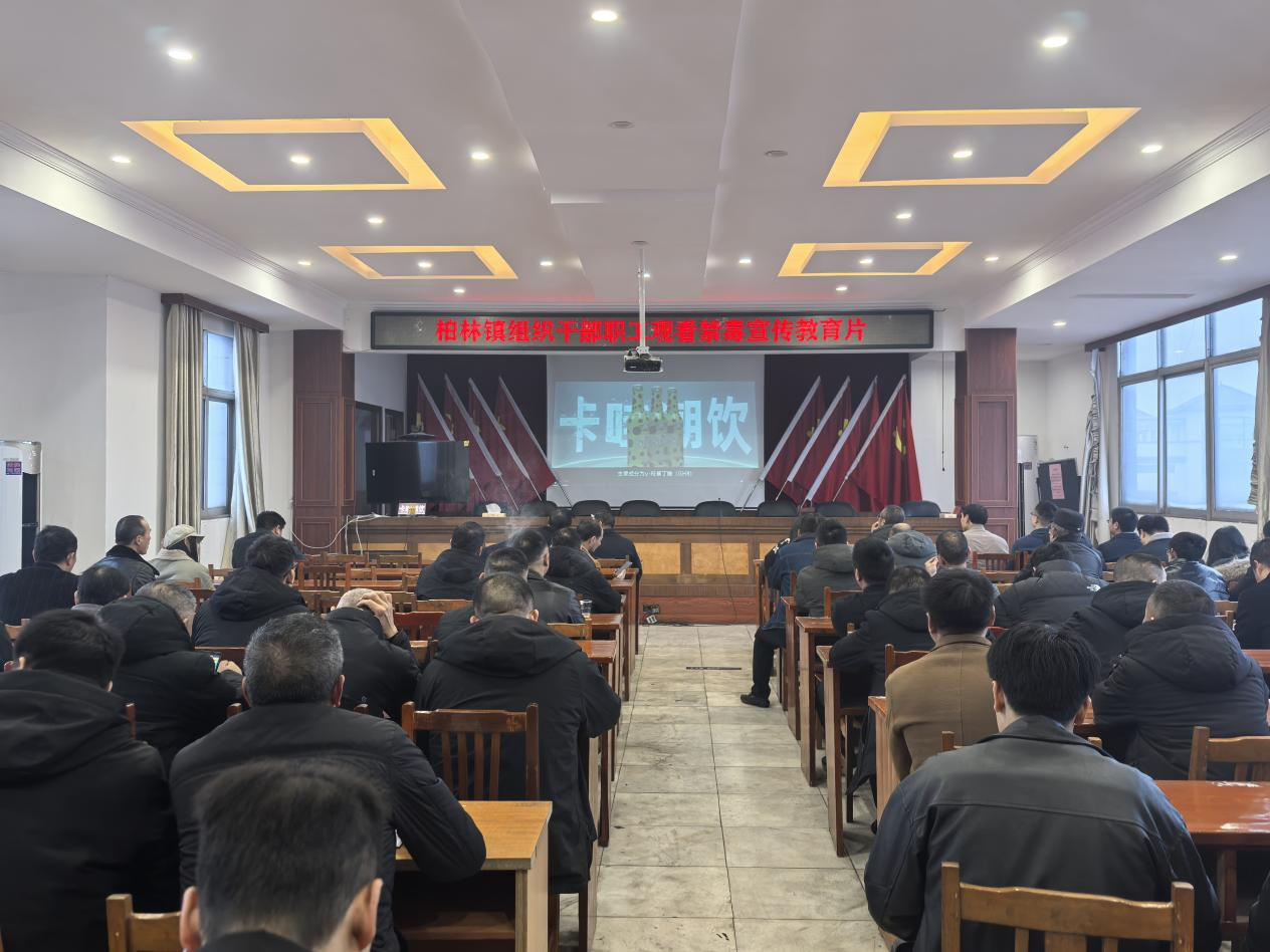 永兴县柏林镇：组织观看毒品预防教育专题片