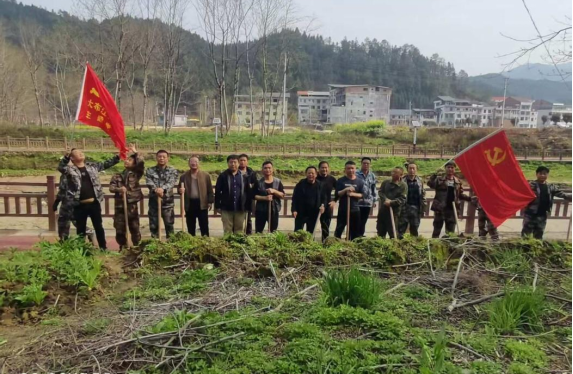 永兴县大布江乡：以“党建红”，引领“生态绿”