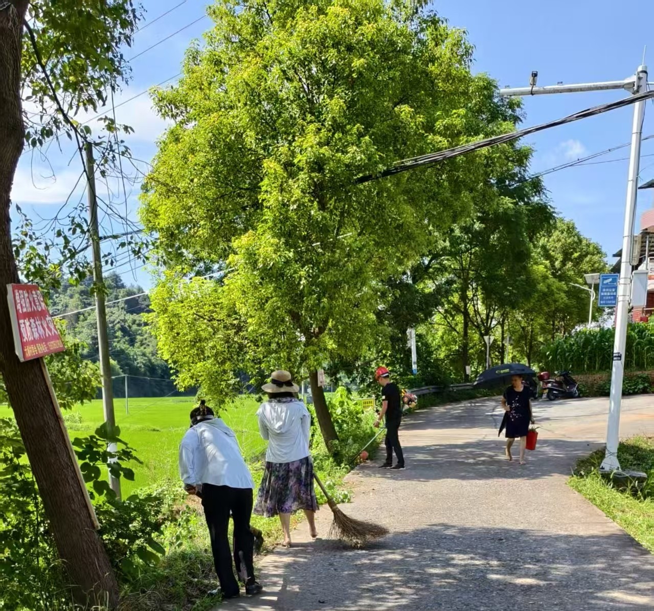 永兴县高亭司镇：开展砍青除障行动，畅通出行之路