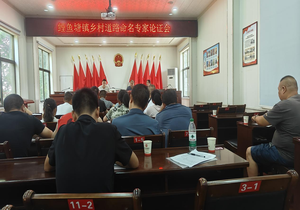 永興縣鯉魚塘鎮(zhèn)：召開鄉(xiāng)村道路命名專家論證會