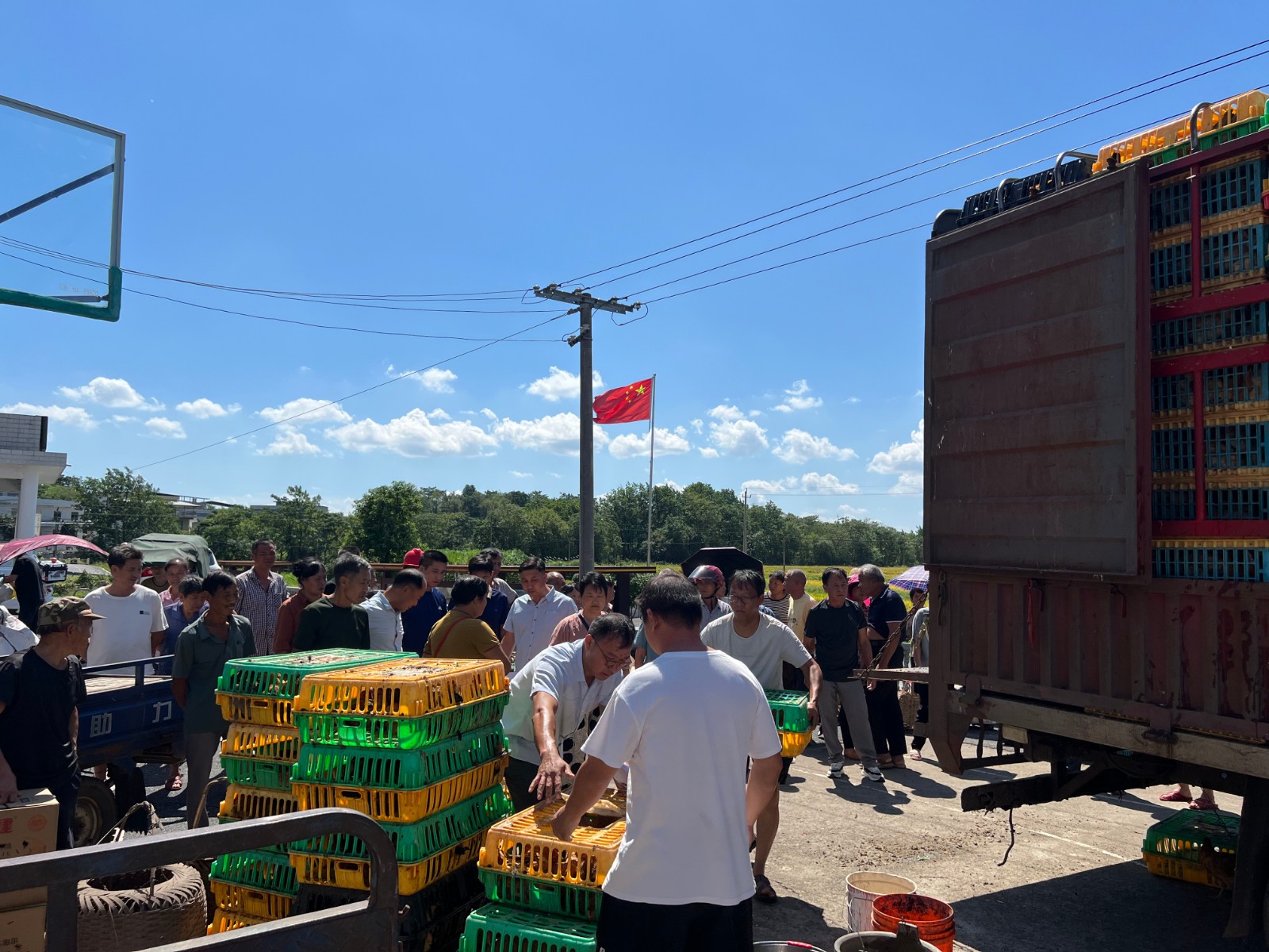 永兴县高亭司镇：落实产业奖补 赋能群众增收