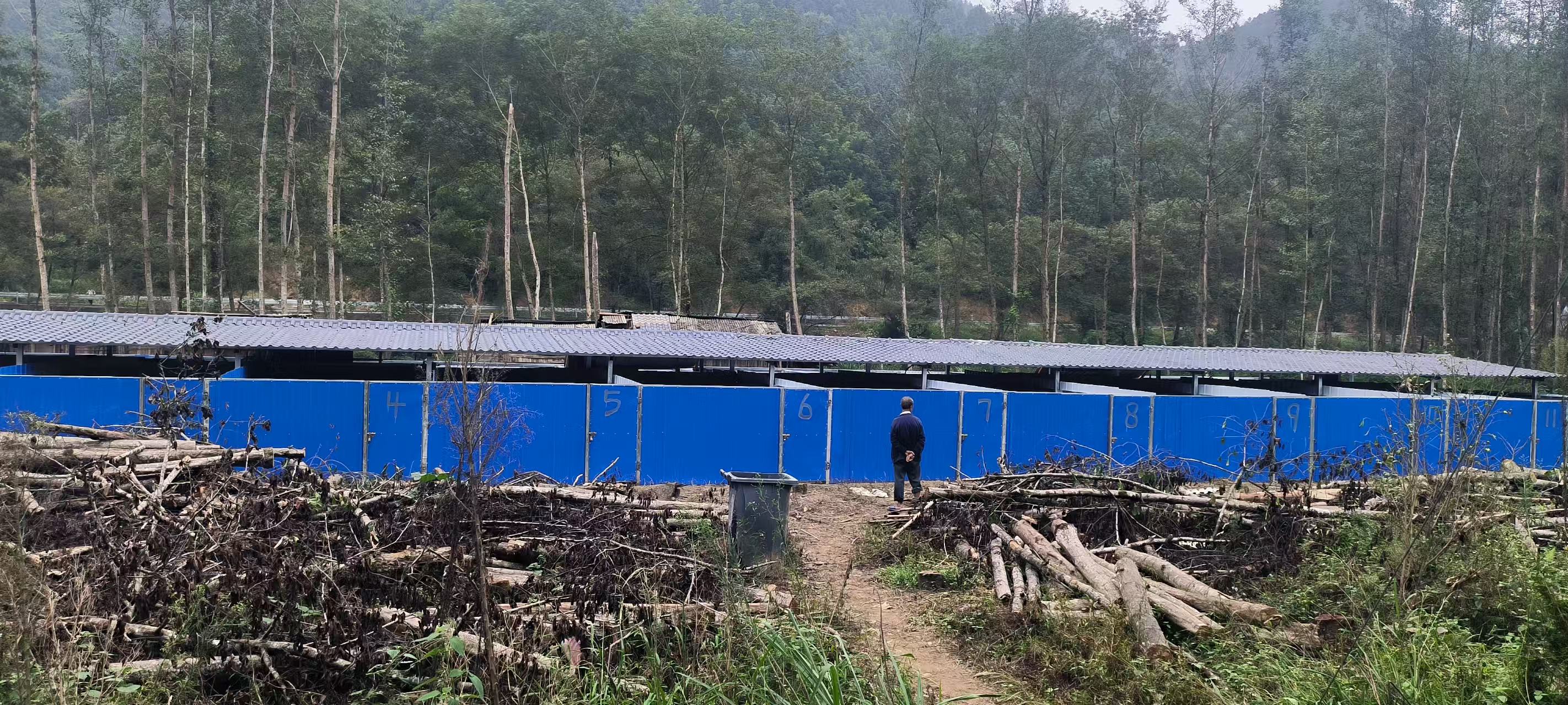 永兴县大布江乡：养殖棚 解民忧 助增收