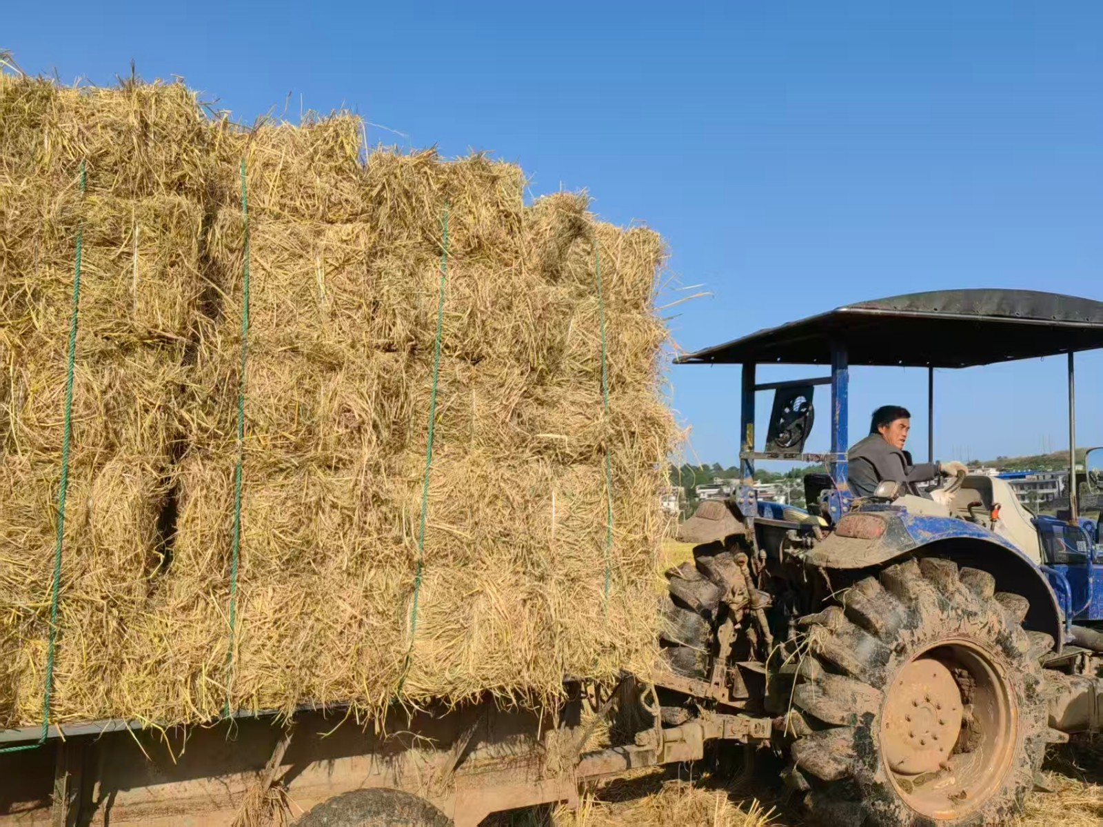 秸秆变“金”，稻田生“机”——永兴县高亭司镇秸秆综合利用绘就生态种粮新图景