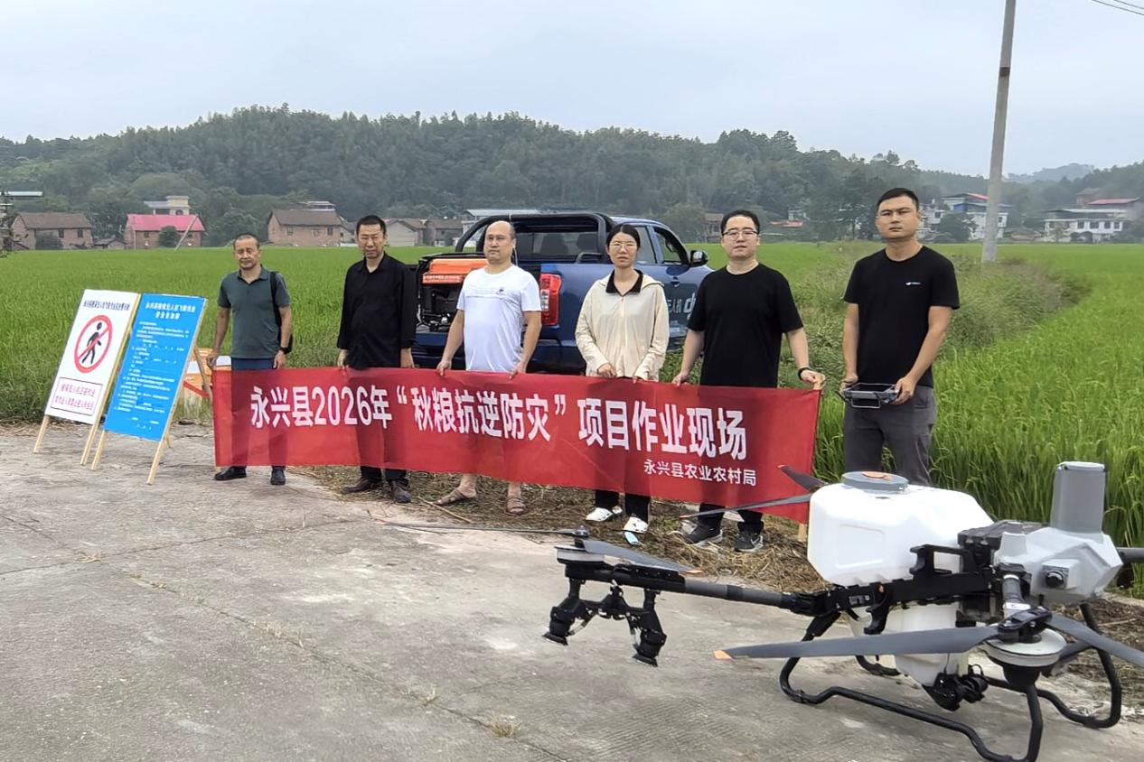 永兴县鲤鱼塘镇扎实推进 2026年秋粮抗逆防灾工作